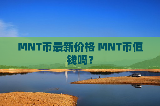MNT币最新价格 MNT币值钱吗?