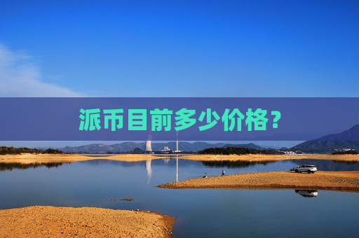 派币目前多少价格?