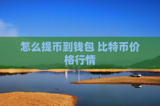 怎么提币到钱包 比特币价格行情