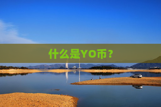 什么是YO币?