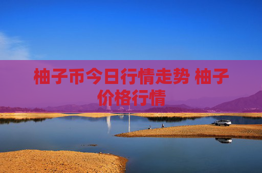 柚子币今日行情走势 柚子价格行情