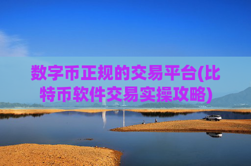 数字币正规的交易平台(比特币软件交易实操攻略)