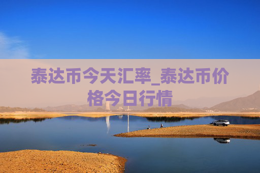 泰达币今天汇率_泰达币价格今日行情