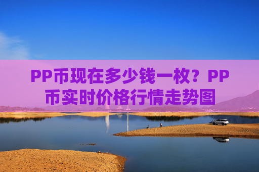 PP币现在多少钱一枚？PP币实时价格行情走势图