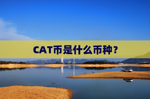 CAT币是什么币种?