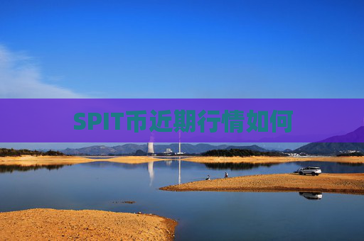 SPIT币近期行情如何