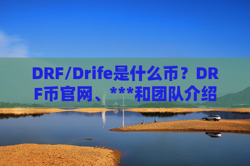 DRF/Drife是什么币?DRF币官网、***和团队介绍