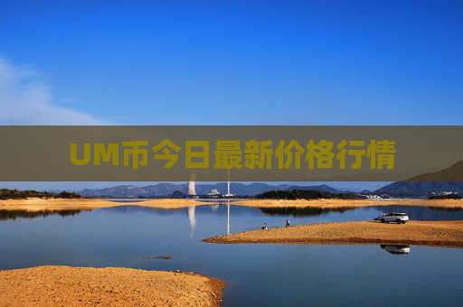 UM币今日最新价格行情