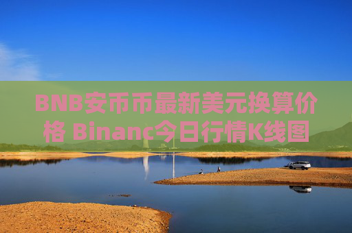 BNB安币币最新美元换算价格 Binanc今日行情K线图