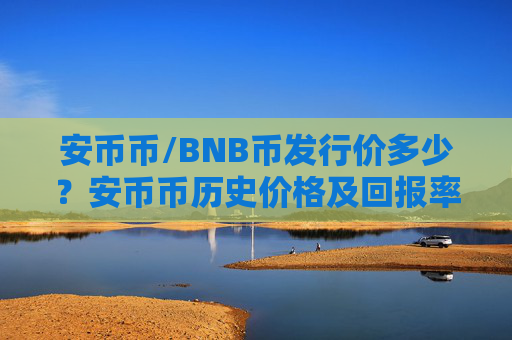 安币币/BNB币发行价多少?安币币历史价格及回报率介绍