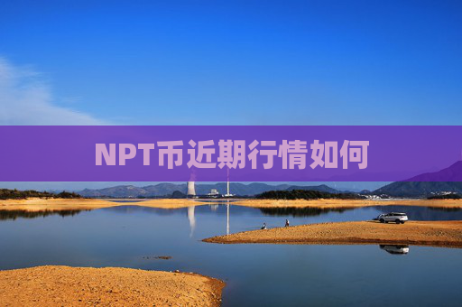 NPT币近期行情如何