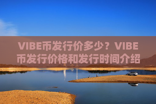 VIBE币发行价多少?VIBE币发行价格和发行时间介绍