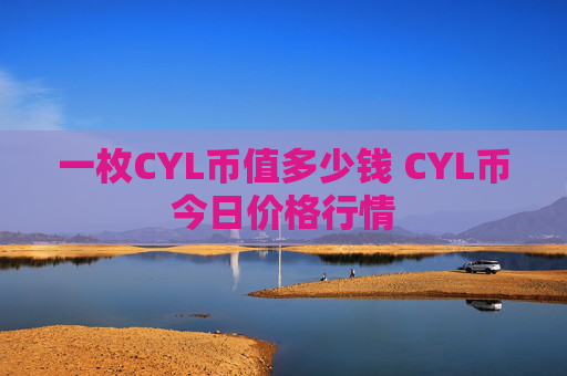 一枚CYL币值多少钱 CYL币今日价格行情