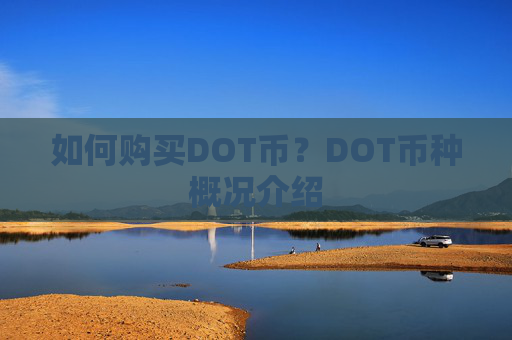如何购买DOT币?DOT币种概况介绍