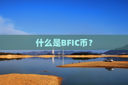 什么是BFIC币?