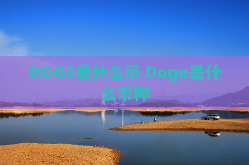DOGE是什么币 Doge是什么币种