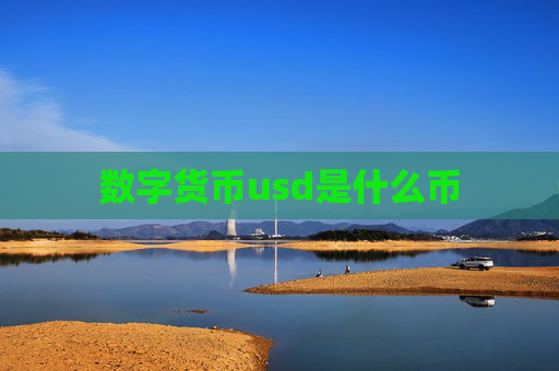 数字货币usd是什么币