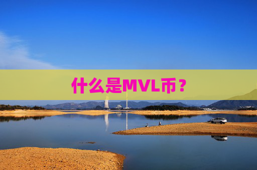 什么是MVL币?