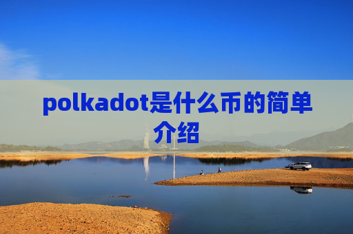 polkadot是什么币的简单介绍