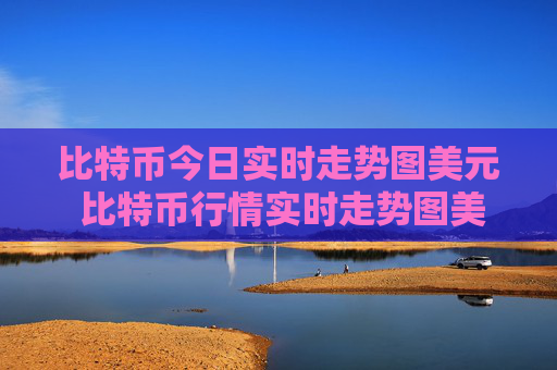 比特币今日实时走势图美元 比特币行情实时走势图美元