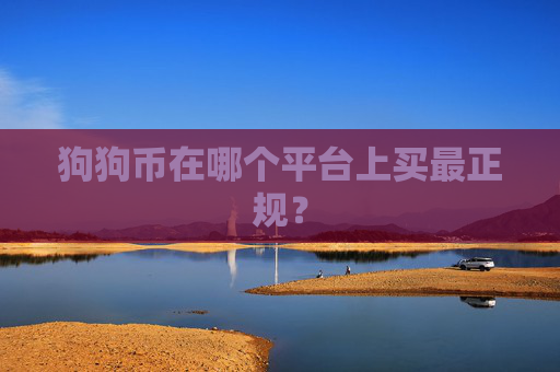 狗狗币在哪个平台上买最正规?