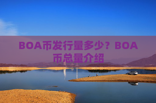 BOA币发行量多少?BOA币总量介绍