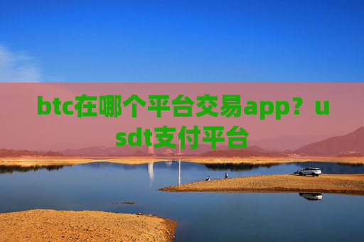 btc在哪个平台交易app?usdt支付平台