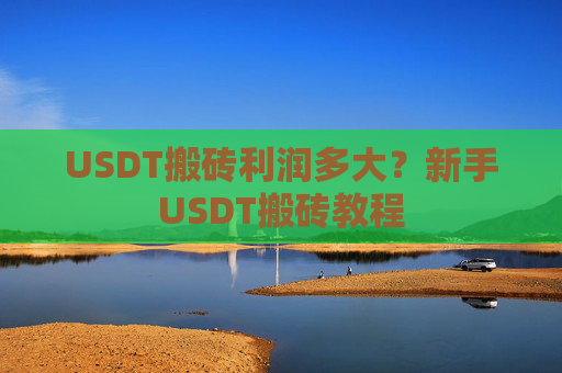 USDT搬砖利润多大?新手USDT搬砖教程