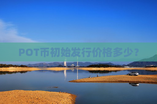 POT币初始发行价格多少?