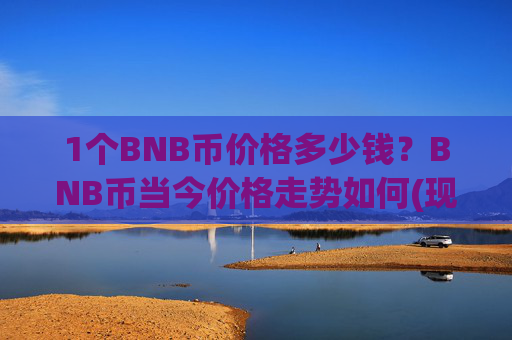 1个BNB币价格多少钱?BNB币当今价格走势如何(现价4869.74元)