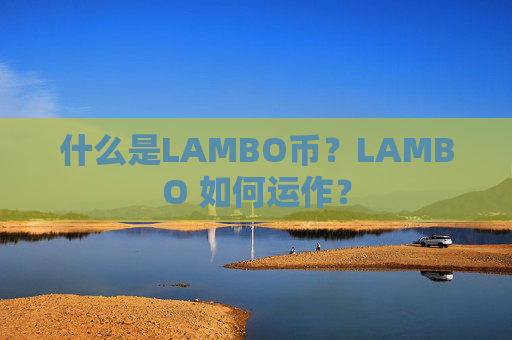 什么是LAMBO币？LAMBO 如何运作？
