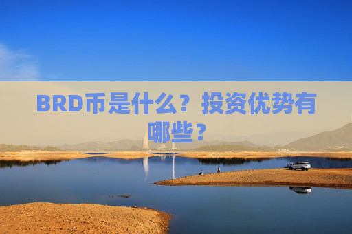 BRD币是什么?投资优势有哪些?