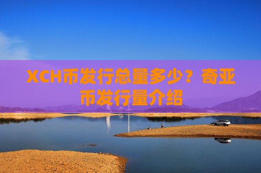 XCH币发行总量多少?奇亚币发行量介绍