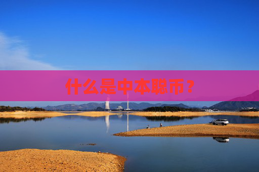 什么是中本聪币?