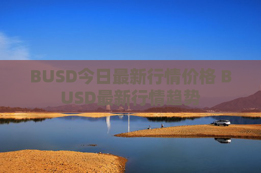 BUSD今日最新行情价格 BUSD最新行情趋势