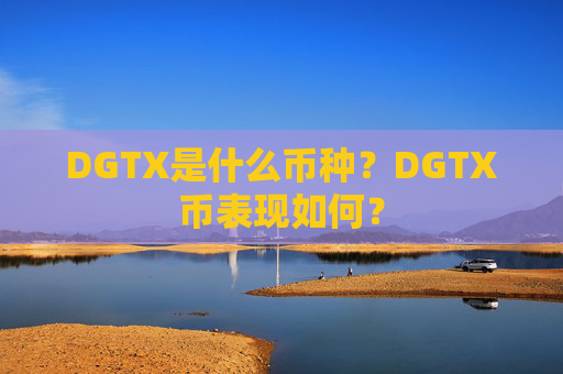 DGTX是什么币种?DGTX币表现如何?