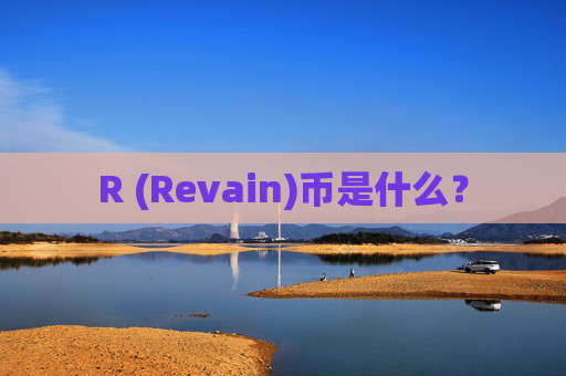 R (Revain)币是什么?
