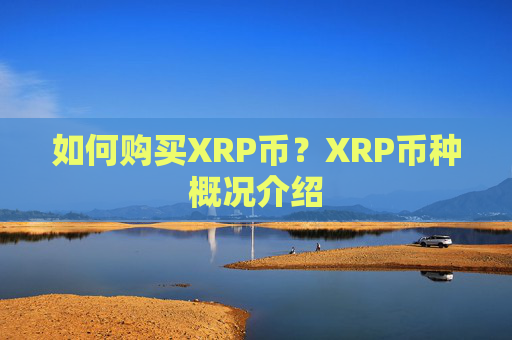 如何购买XRP币？XRP币种概况介绍