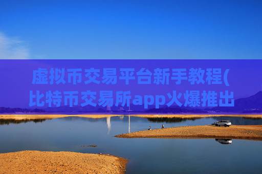 虚拟币交易平台新手教程(比特币交易所app火爆推出)