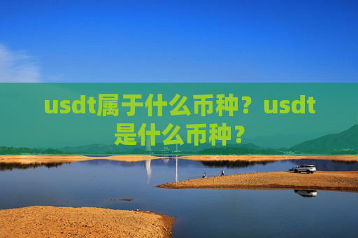 usdt属于什么币种？usdt是什么币种？