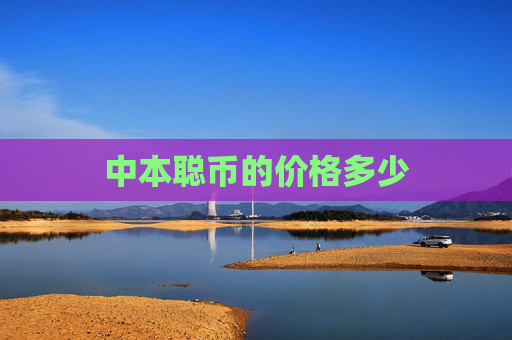 中本聪币的价格多少