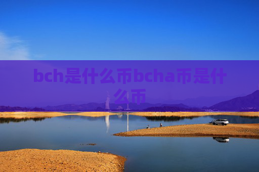 bch是什么币bcha币是什么币