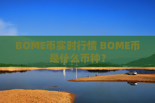 BOME币实时行情 BOME币是什么币种？