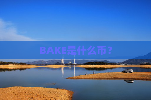 BAKE是什么币?