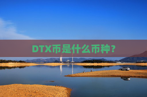 DTX币是什么币种?