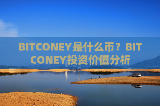 BITCONEY是什么币?BITCONEY投资价值分析