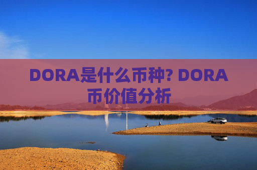 DORA是什么币种? DORA币价值分析
