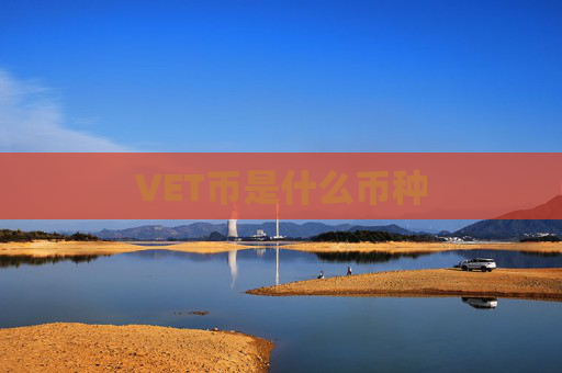 VET币是什么币种