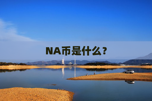 NA币是什么?