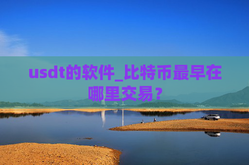 usdt的软件_比特币最早在哪里交易？